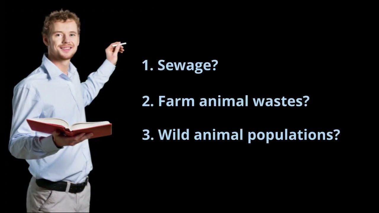Sources of Pathogens in Flood Water - The CleanUP Guys Flood Damage Cleanup/Flood Restoration