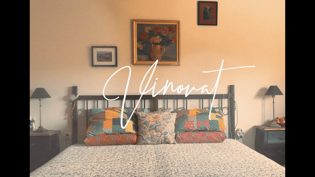 MEGANISI - Vinovat