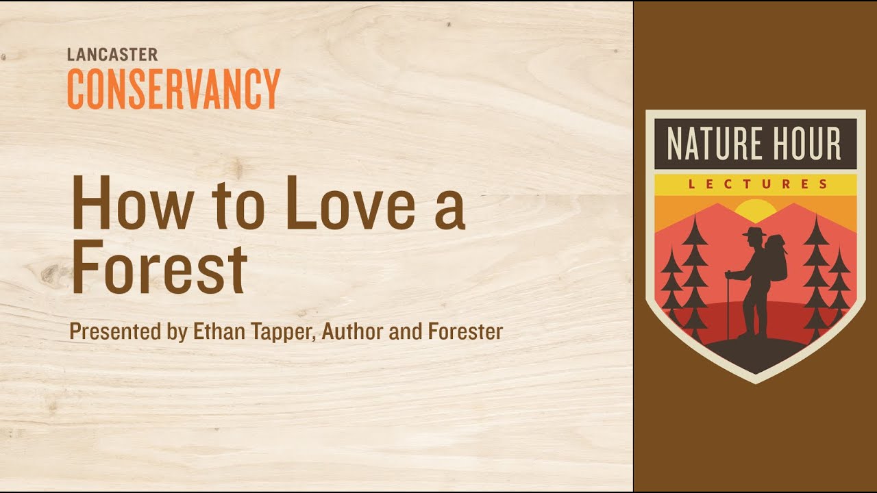 Nature Hour: How to Love a Forest