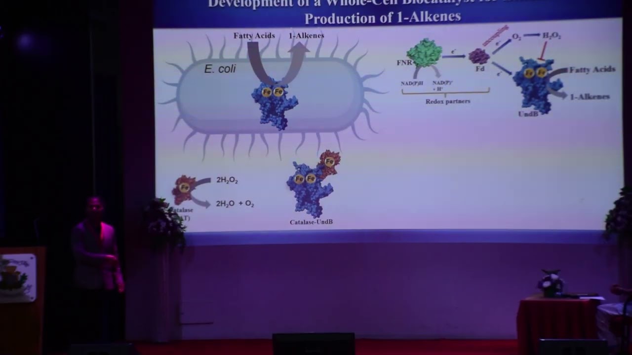 Harnessing Enzymatic power for Bioenergy and Therapeutics