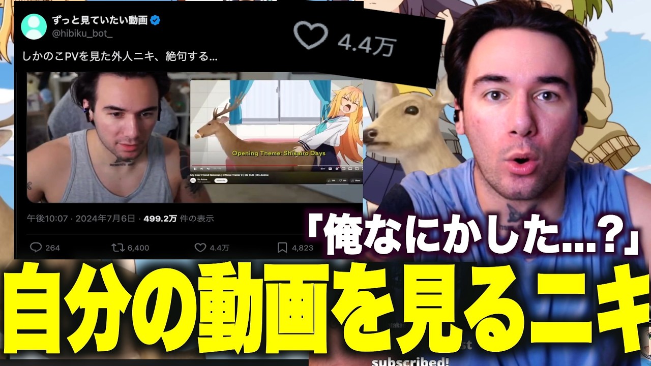 【海外の反応】ニコラスニキのリアクションが面白すぎると話題に【しかのこのこのここしたんたん】【シカ色デイズ】【日本語訳】【翻訳】【ニコラス兄貴】