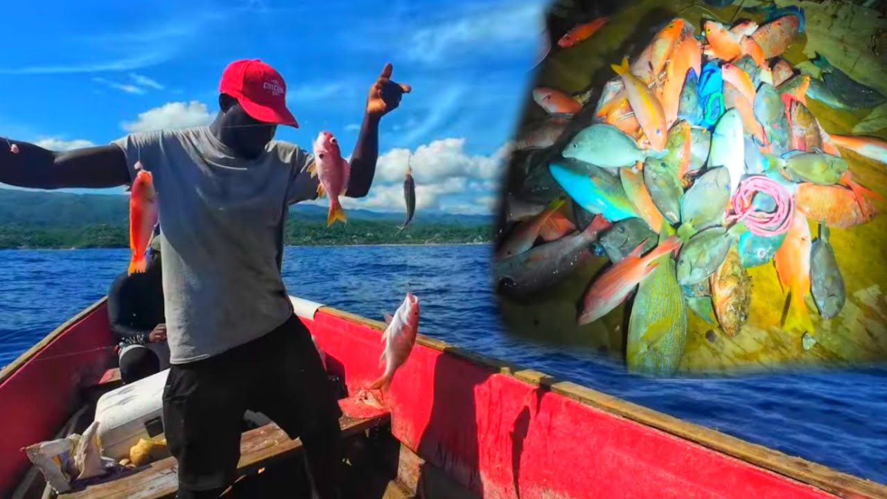 Deep Sea Fishing Pulling Up  Giants From The Deep