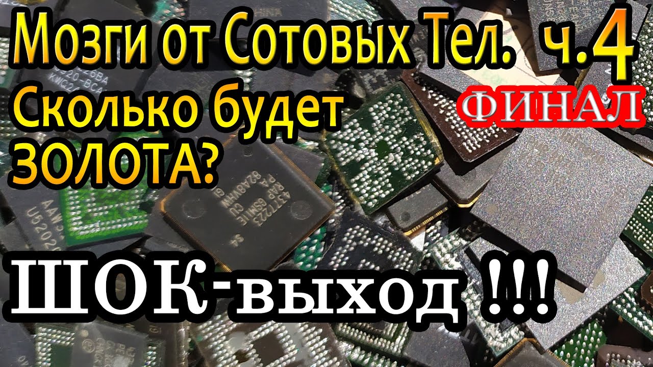 Мозги от сотовых Тел. Финал. Шок выход