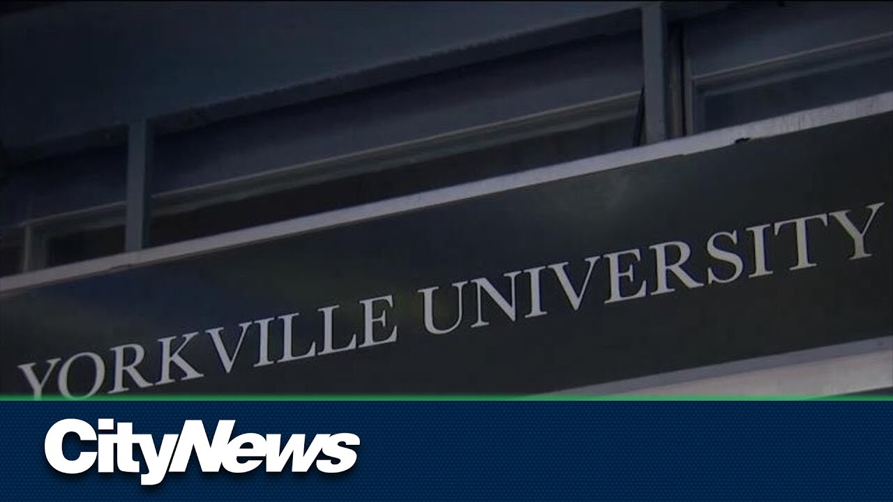 Students in Ontario raise concerns over psychotherapy program