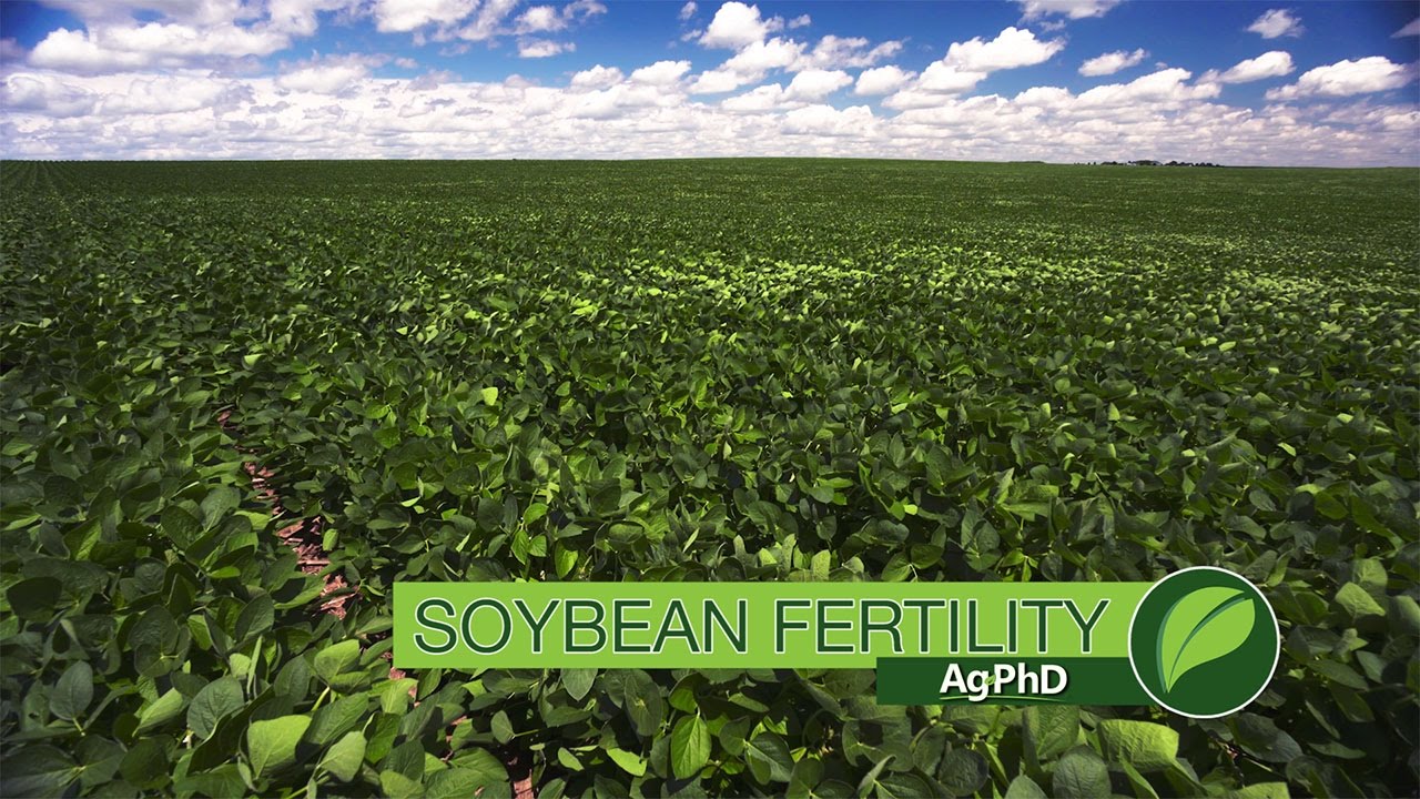 Soybean Fertility #995 (Air Date 4-30-17)