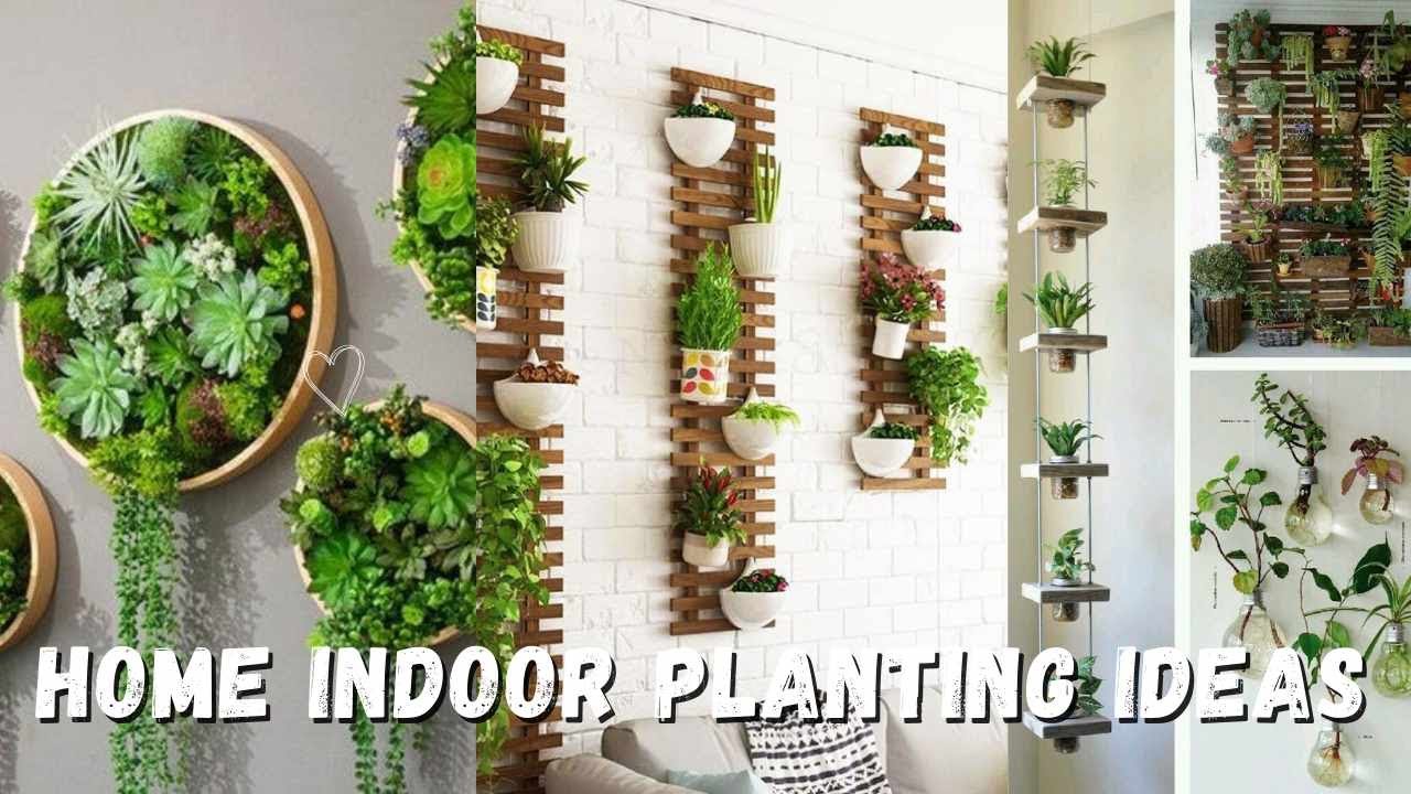 Top 50 Best ideas for Splendid Indoor Home Plantation DIYs