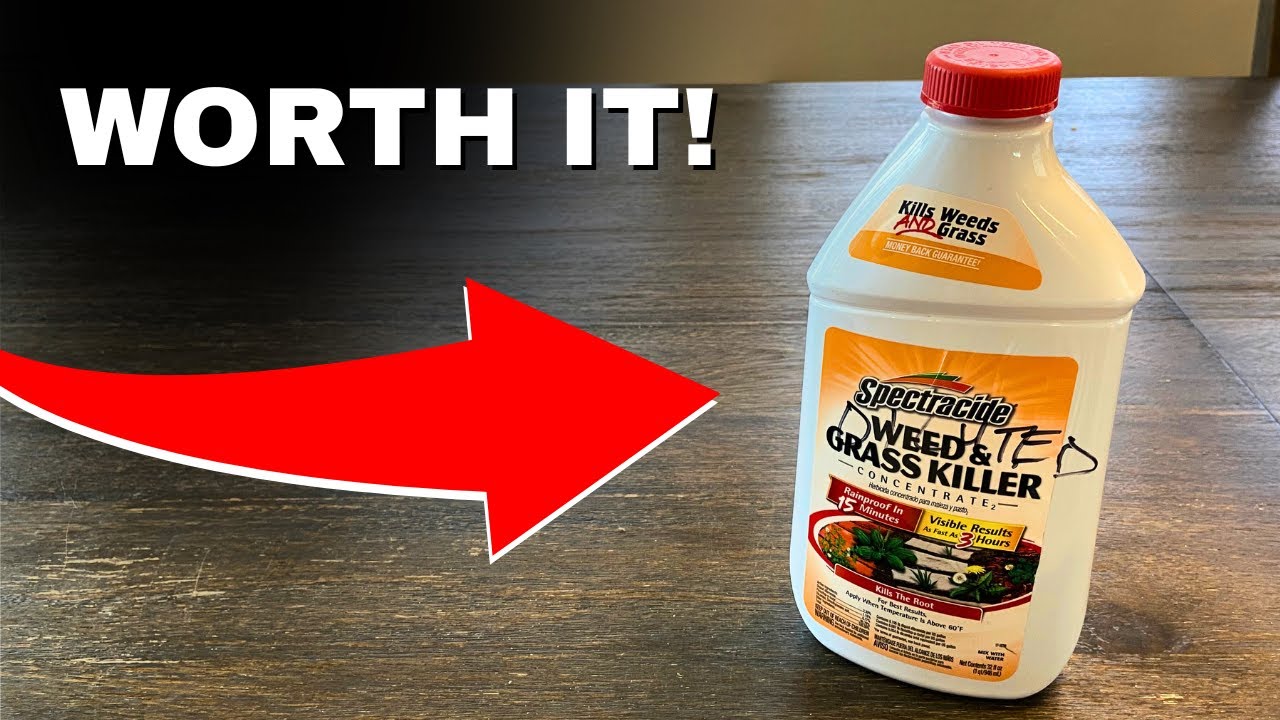 Spectracide Weed & Grass Killer Review &ndash; Fast Results Concentrate for Patios & Driveways