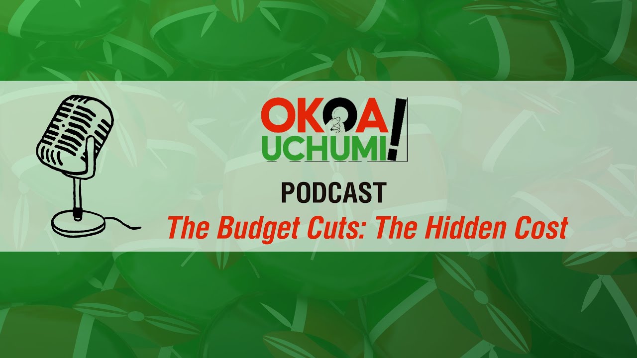Budget Cuts: The Hidden Cost
