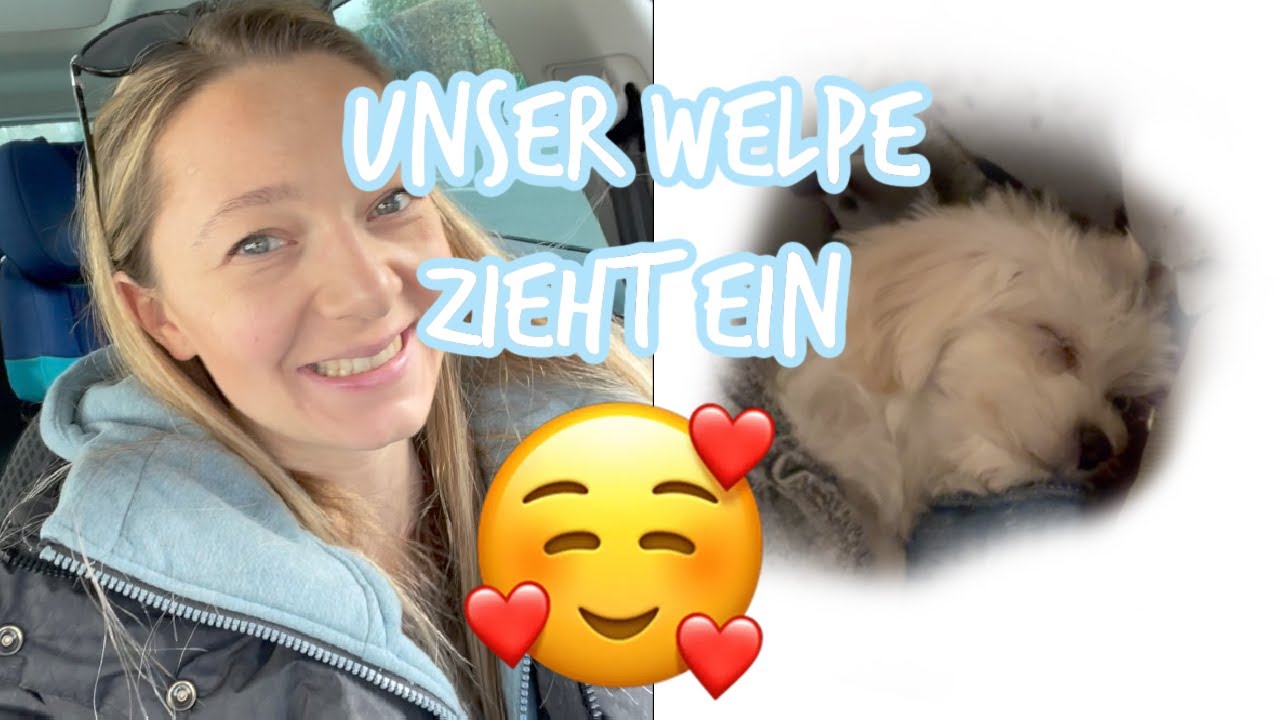 Endlich ist es soweit 😍 Unser Malteser Welpe zieht ein | Der erste Tag | VLOG | denisevlogs