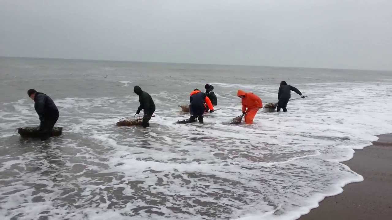 Rav Amber Bernstein search in Hanstholm Denmark