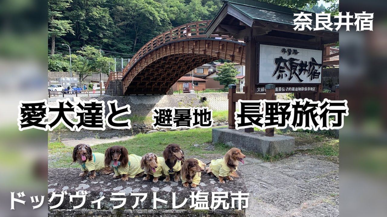 【愛犬と長野旅行】#奈良井宿#ドッグヴィラアトレ塩尻市#道の駅小坂田公園#石挽そば処もえぎ野
