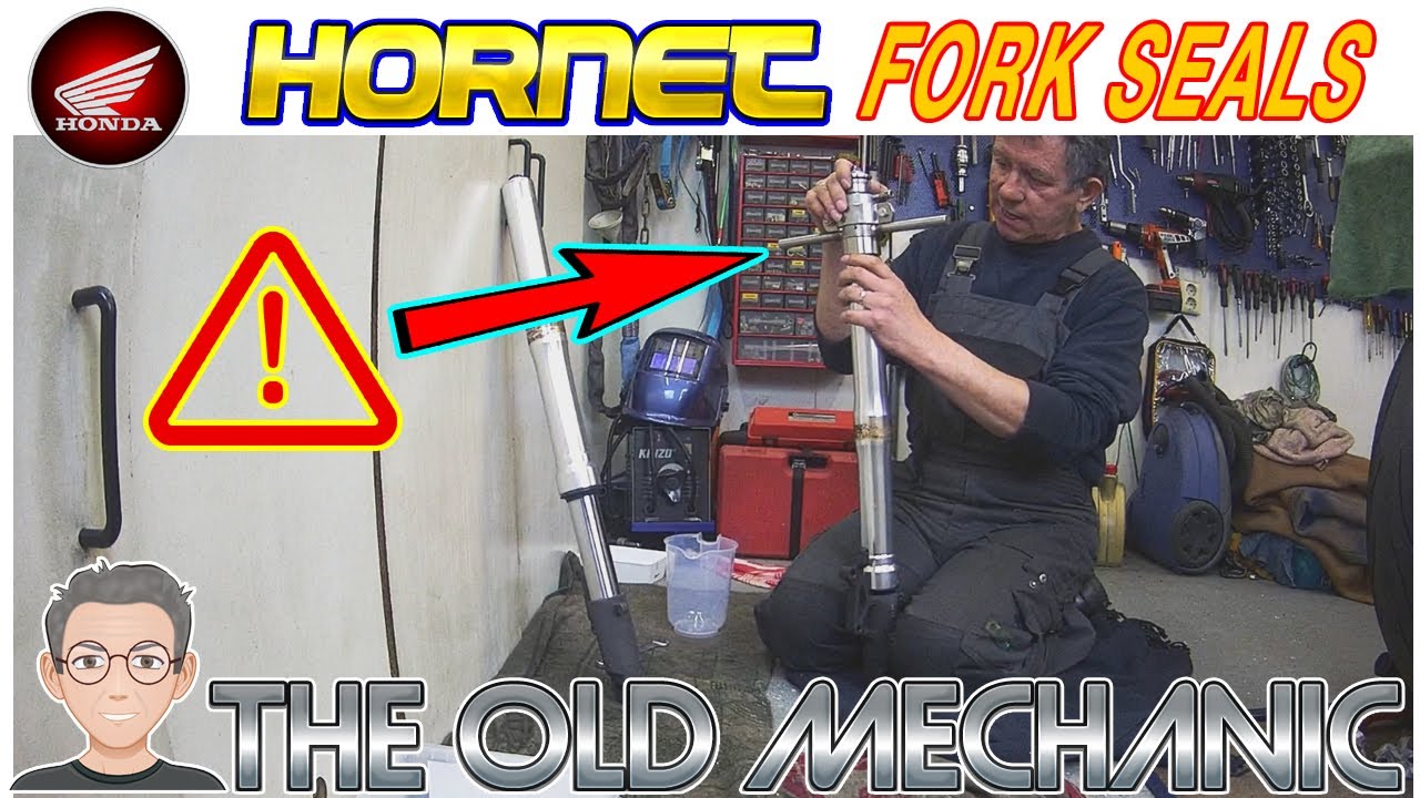 Honda Hornet 600 Honda 599  Front Fork Seals CHANGE / PART 2 DONE by The Old Mechanic  👨‍🔧---🏍