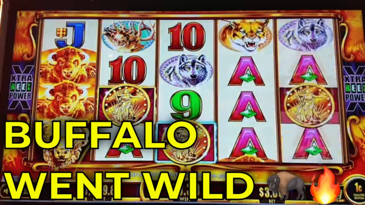 INSANE BONUS RUN 🦬🔥 Buffalo Gold Cash Collection Kept Hitting