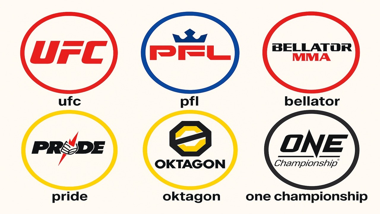 Every MMA Organization Explained In 19 Minutes