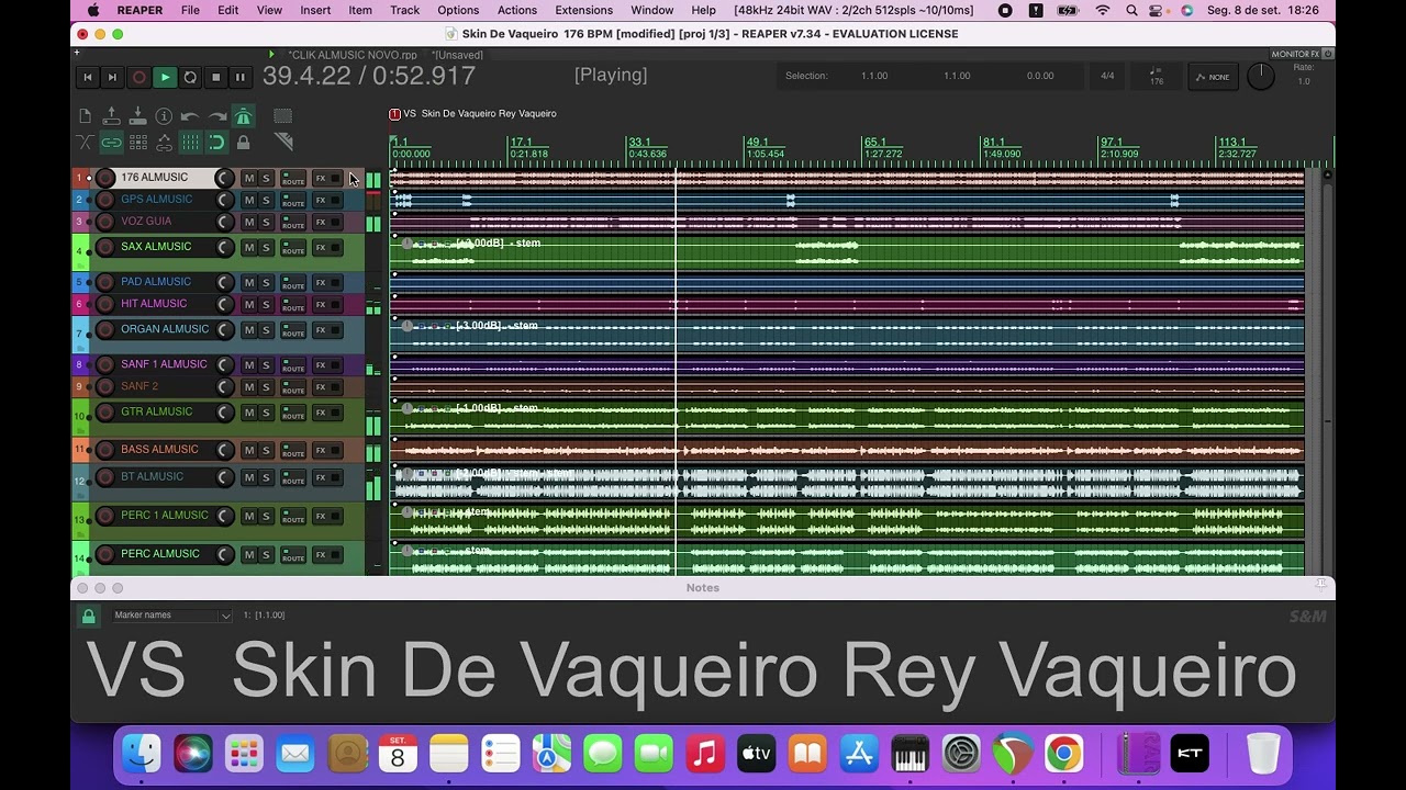 VS  Skin De Vaqueiro Rey Vaqueiro