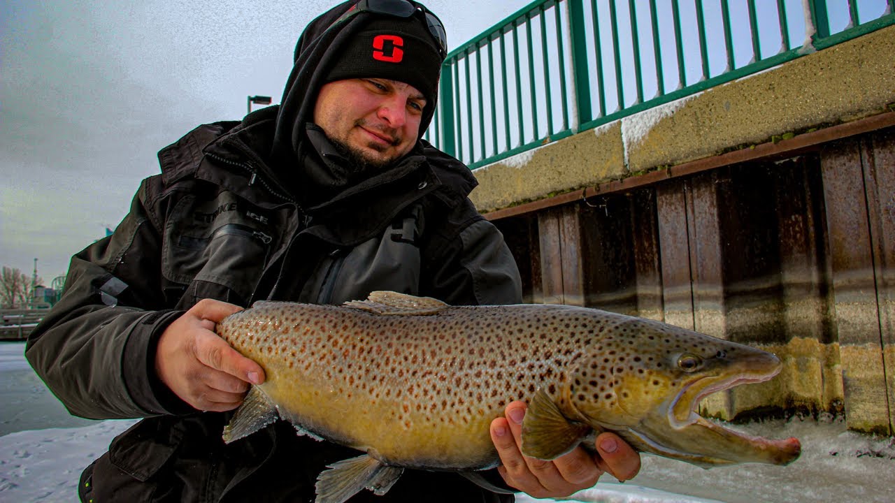 Milwaukee Harbor MASSIVE TROUT on AUTOMATIC FISHERMAN! (how to)