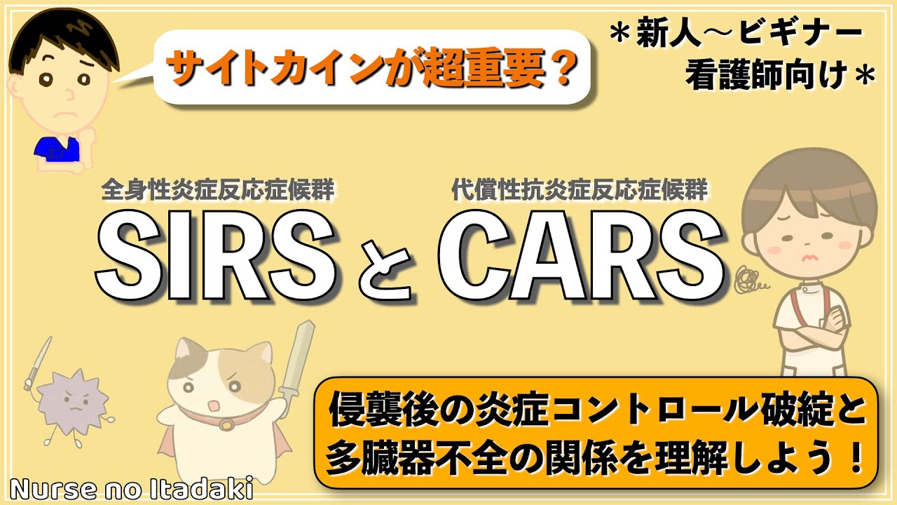 【超重要！】SIRSとCARSの状態を理解しよう！