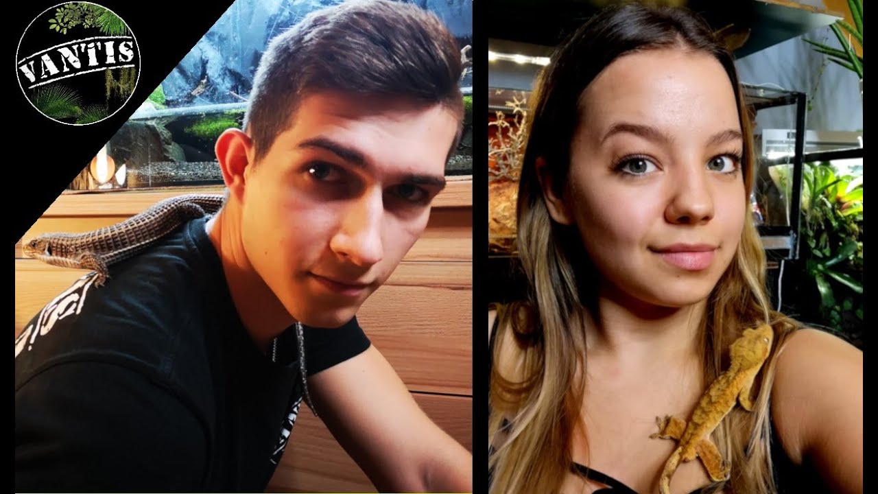 CAŁA HODOWLA ZWIERZĄT W DOMU - 138 GATUNKÓW 2019 | Vantis Terra