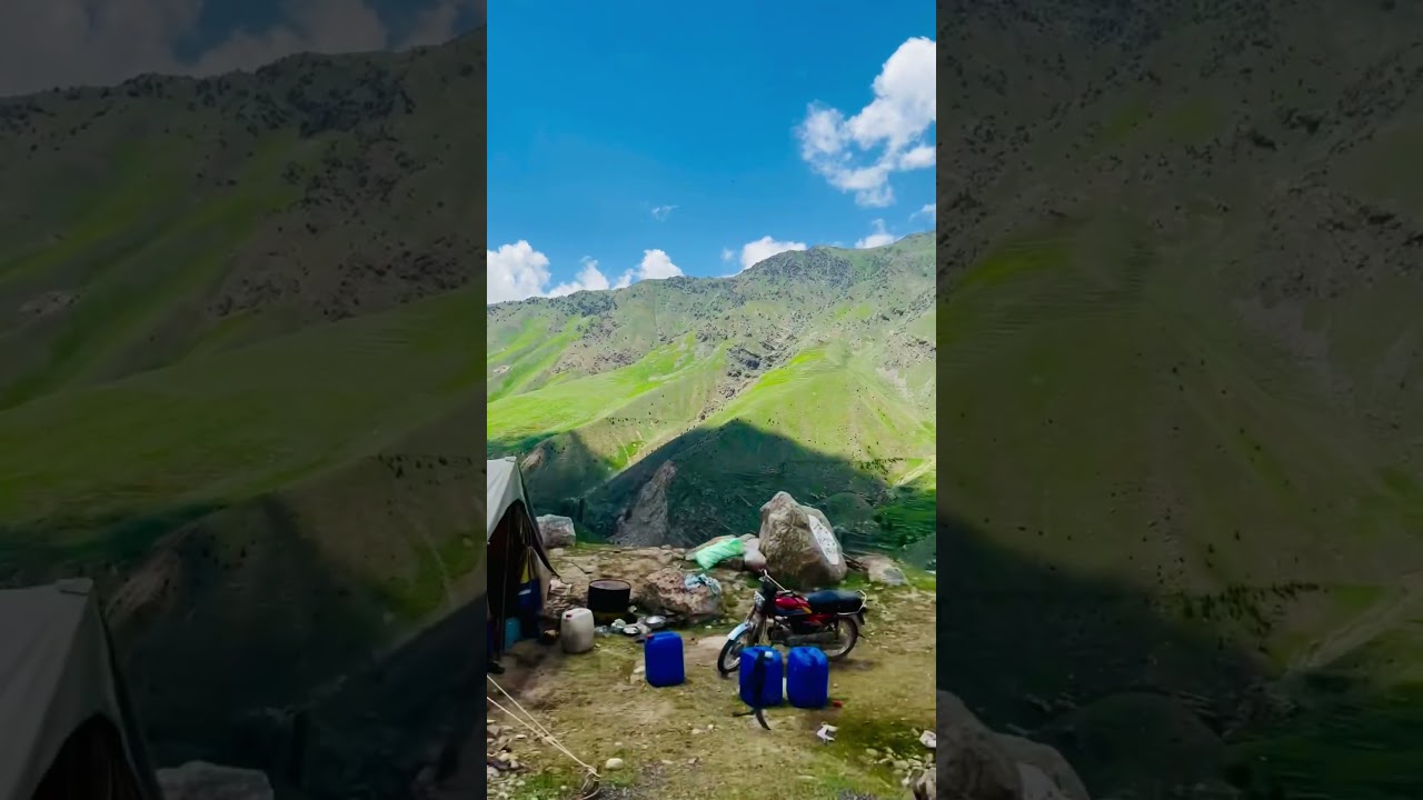 Naran k Honey Farms 🍯 🐝