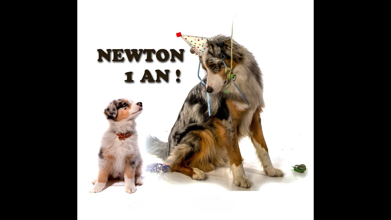 Newton - Berger Australien 1 an