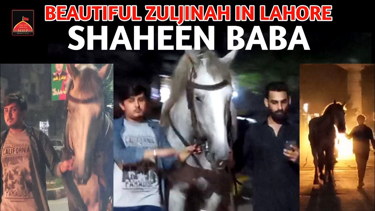 Beautiful Zuljinah in Lahore - SHAHEEN BABA - Vlog #4 - Preparation For Muharram Duties - Iqbal Town