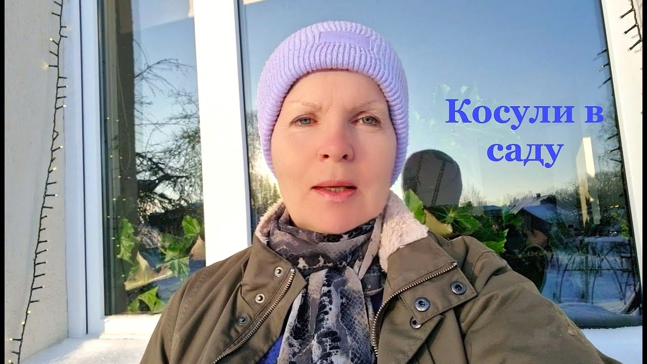 Косули в моём саду