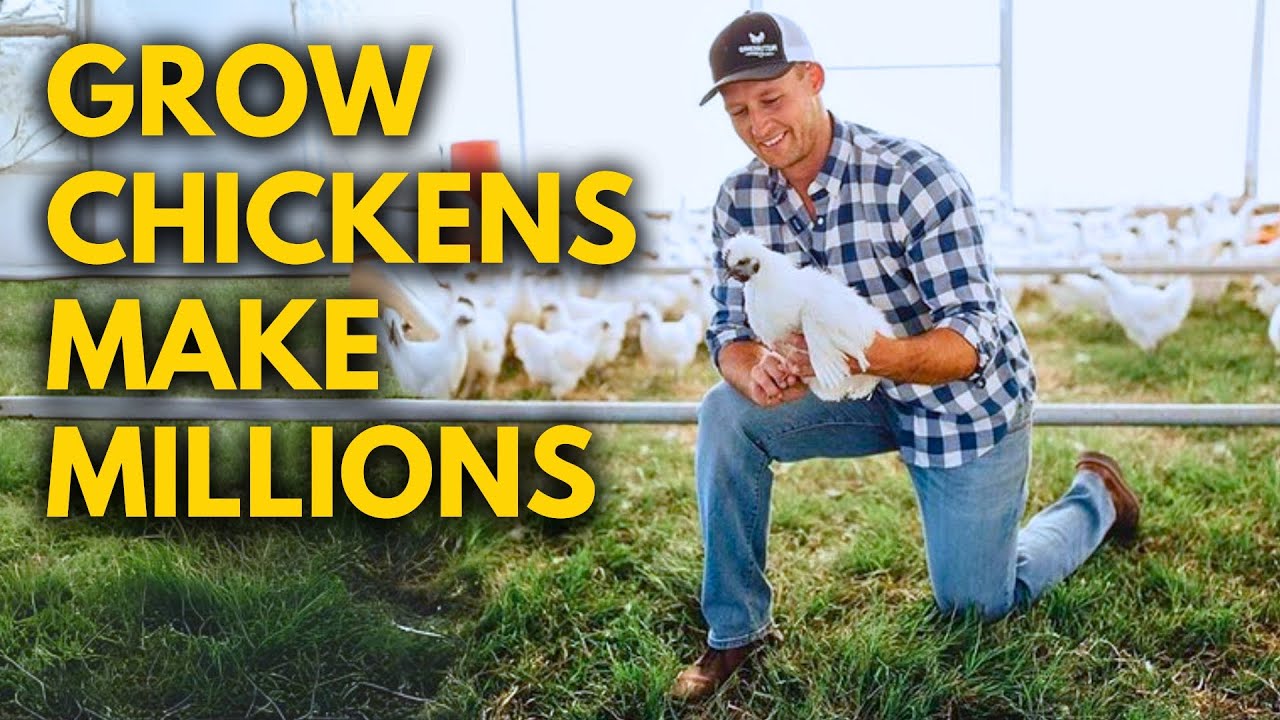Farmer Raises 500,000 Chickens on Pasture a Year & Makes Millions