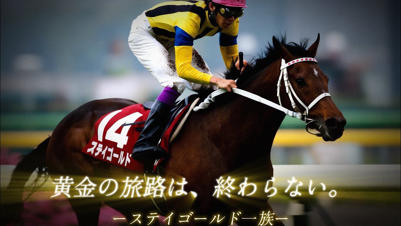 【競馬MAD】黄金の旅路は、終わらない。〜ステイゴールド一族〜 第ゼロ感