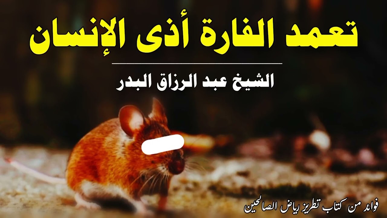 تعمد الفارة أذى الإنسان | الشيخ عبد الرزاق البدر حفظه الله