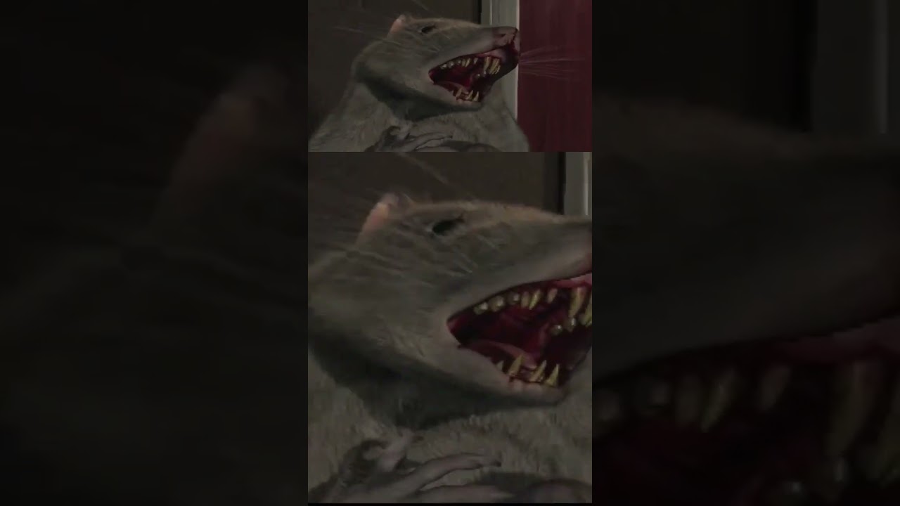 Parasite Eve I 【ฺscreen】【Rat】#หมี่อ้วน๐channel #cookietv9799