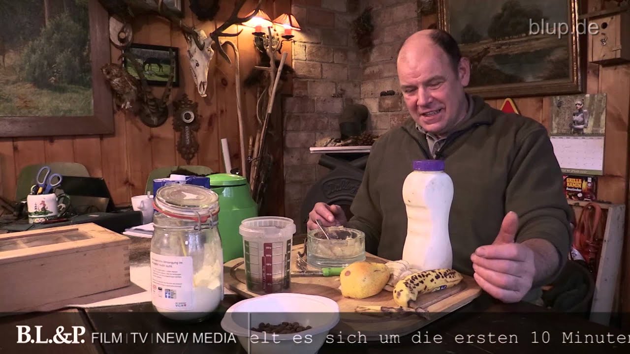 Drei Wildschwein-Frischlinge werden zu Waisen - Rohschnitt bluptv