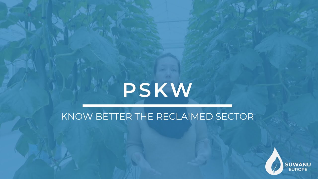 KNOW BETTER THE RECLAIMED SECTOR: PSKW