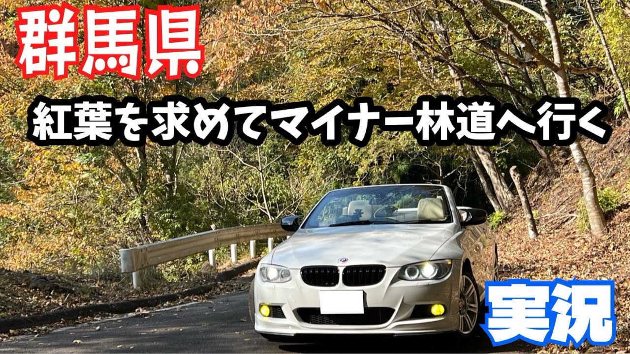 紅葉を求めてグンマーのマイナー林道へ 林道赤久縄線