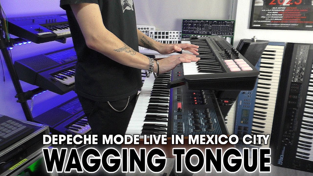DEPECHE MODE - WAGGING TONGUE (LIVE in Mexico City Cover)