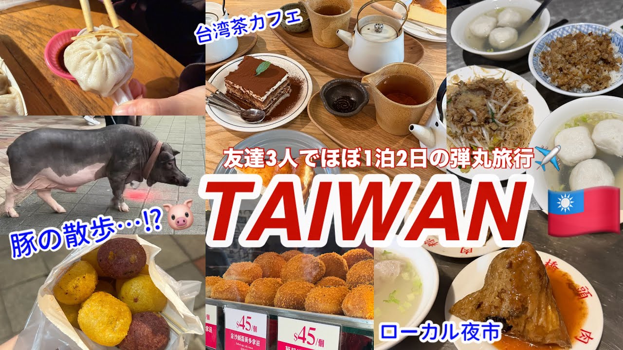 【2026台湾Vlog】3人で台北へ🇹🇼前編｜ブタの散歩⁉︎｜ローカル夜市、台湾カフェ、台湾ドーナツetc…