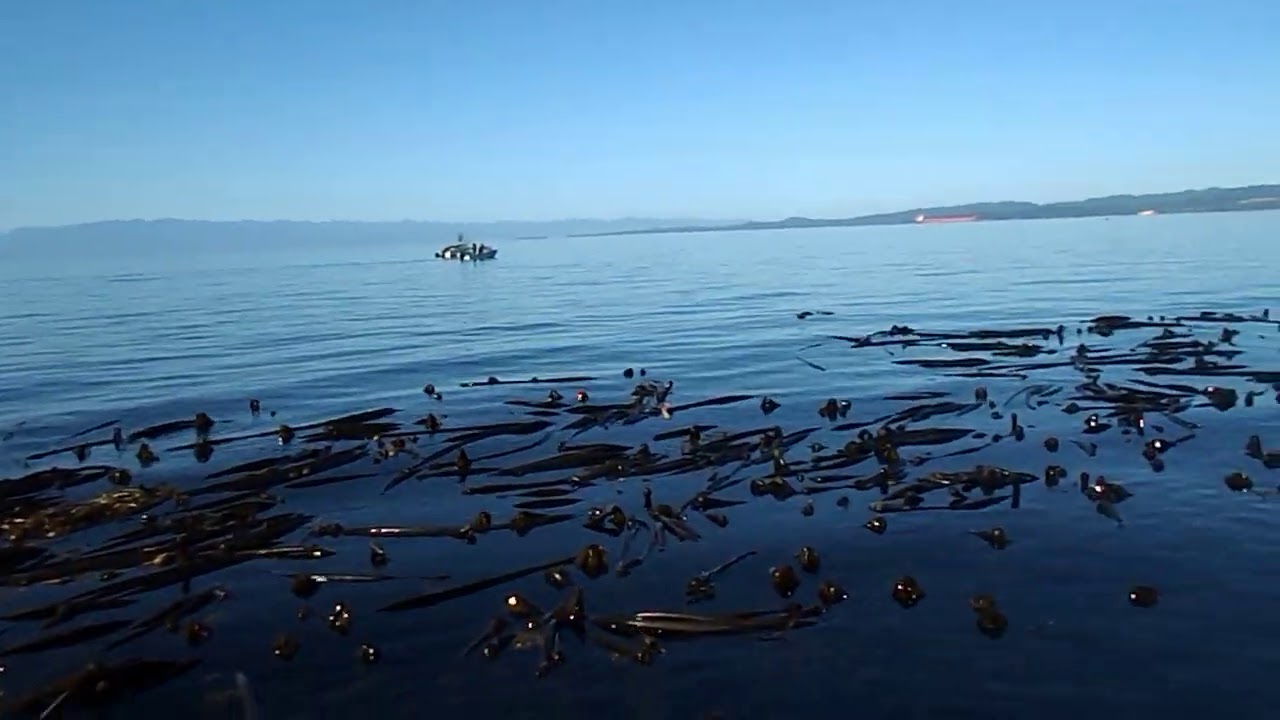 Fishing Ogden Point Break water. Victoria B C Canada