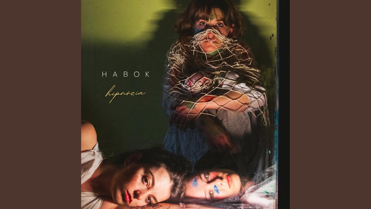 Habok