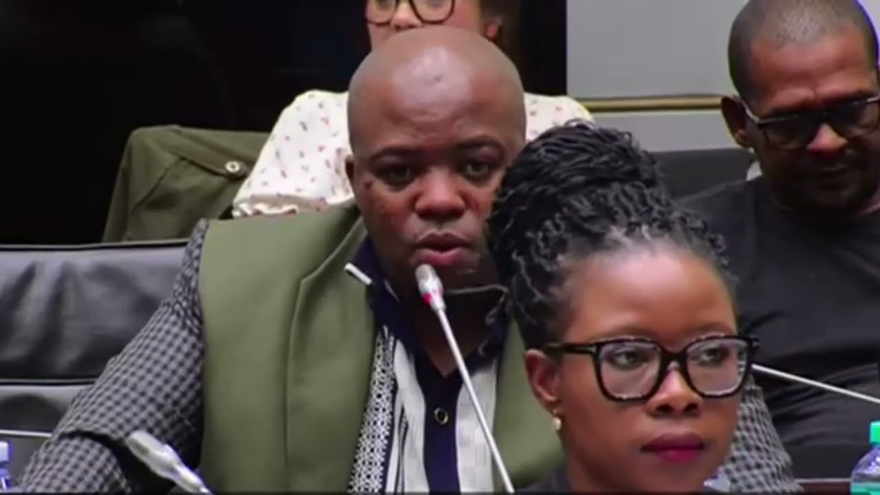Ad Hoc Committee: SHOCKING: McBride Links Mkhwanazi to Investigator's Murder | Parliament Bombshell
