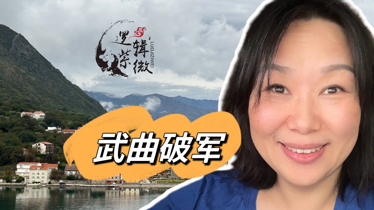 【逻辑紫微】Elisa 浅谈武曲破军