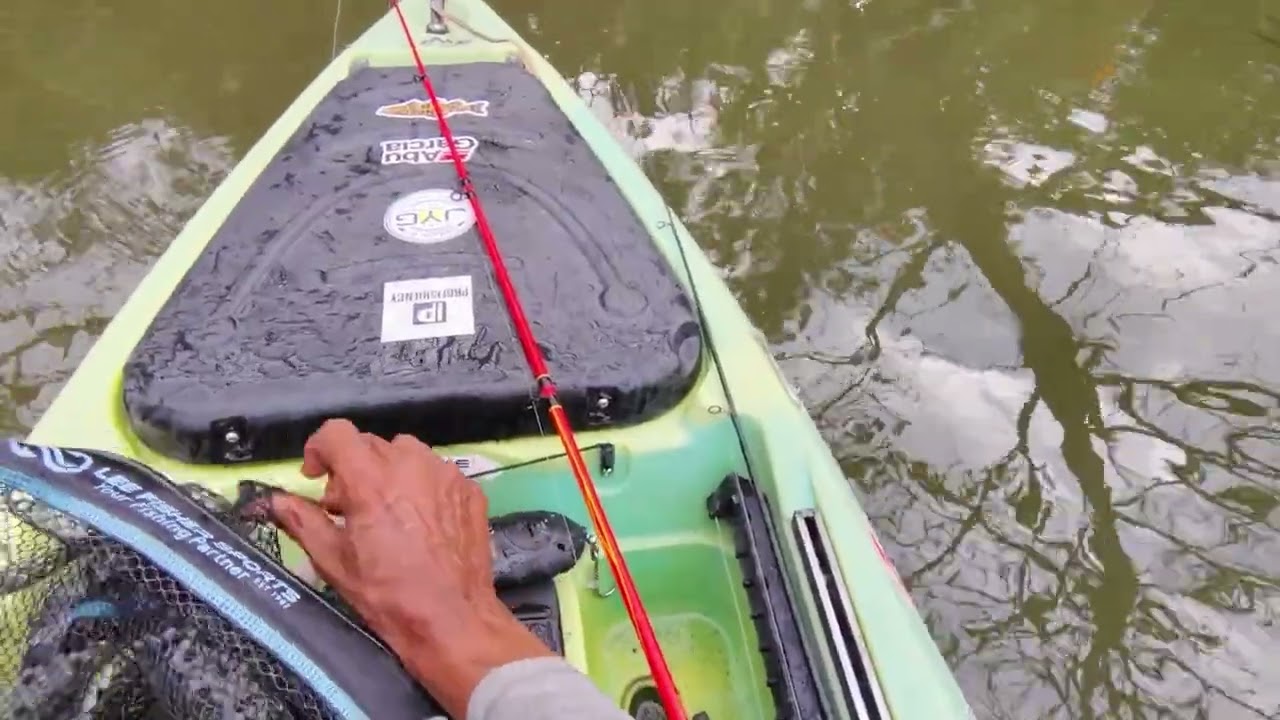 Captura dé Tucunare con señuelo Heddon tiny torpedo bull frogs. 