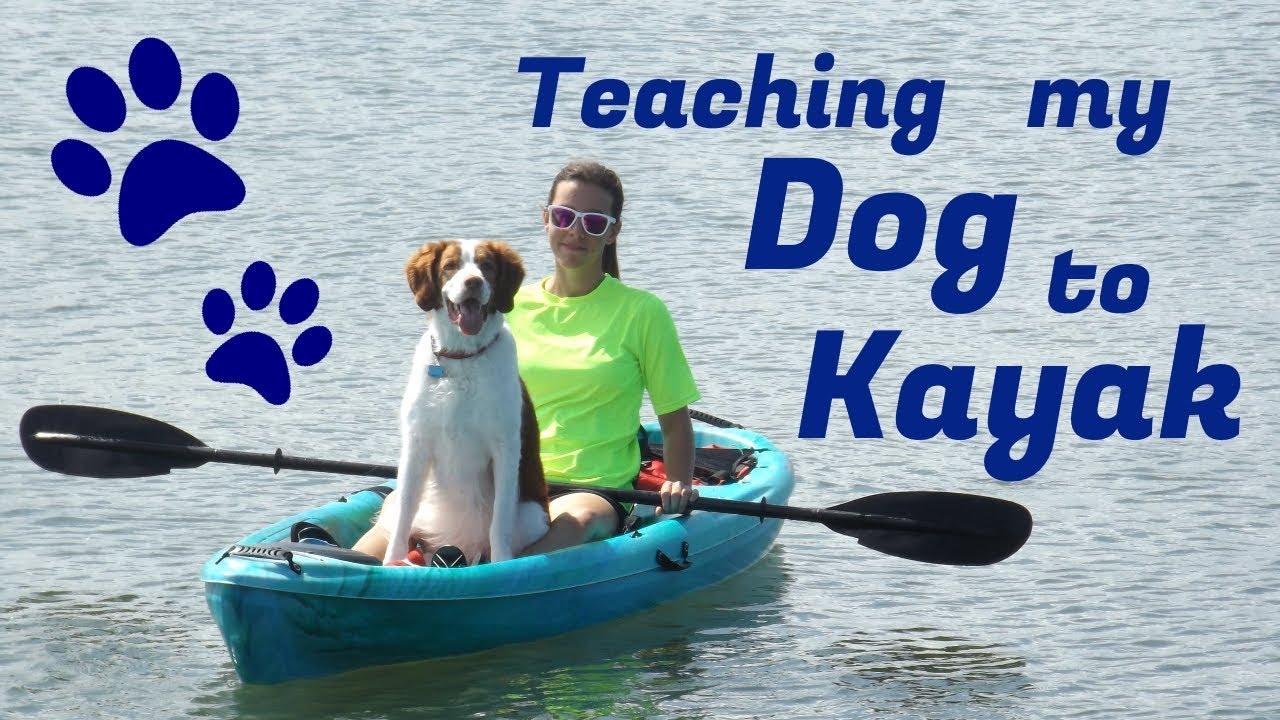 Teaching my dog to kayak!