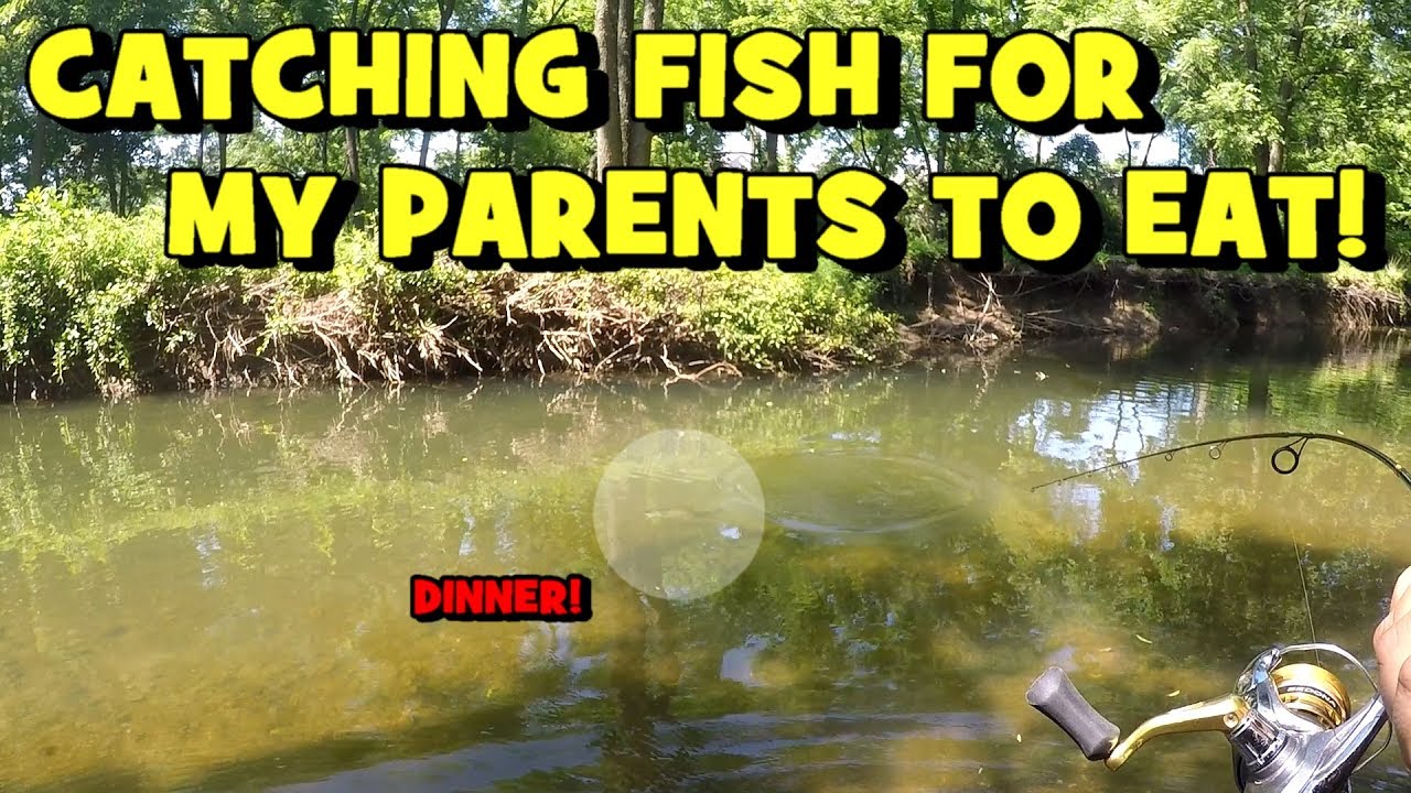 Catching some FISH for my PARENTS TO EAT!!! (NEAT CATCH)