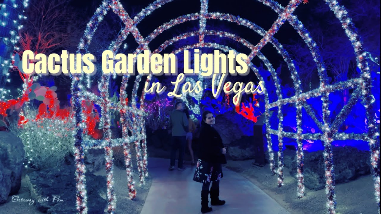 Walk with Me at CACTUS GARDEN Lights of Love || Ethel M Botanical Cactus Garden Las Vegas