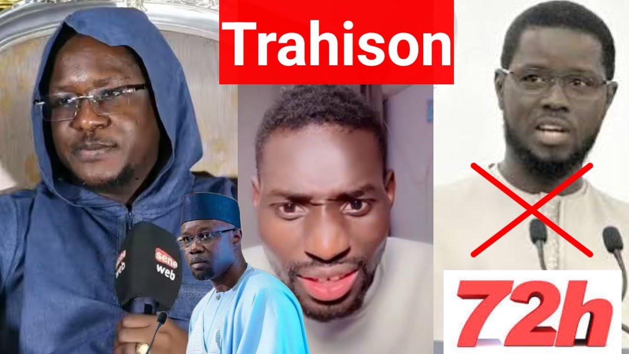 Réaction de Cheikh Bara Ndiaye et Adamo niom niépa ko waxon Diomaye faye