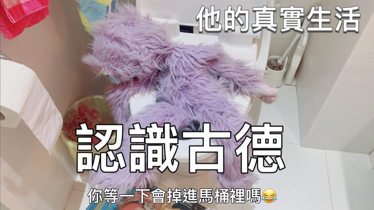 認識最真實的古德 安妮古德