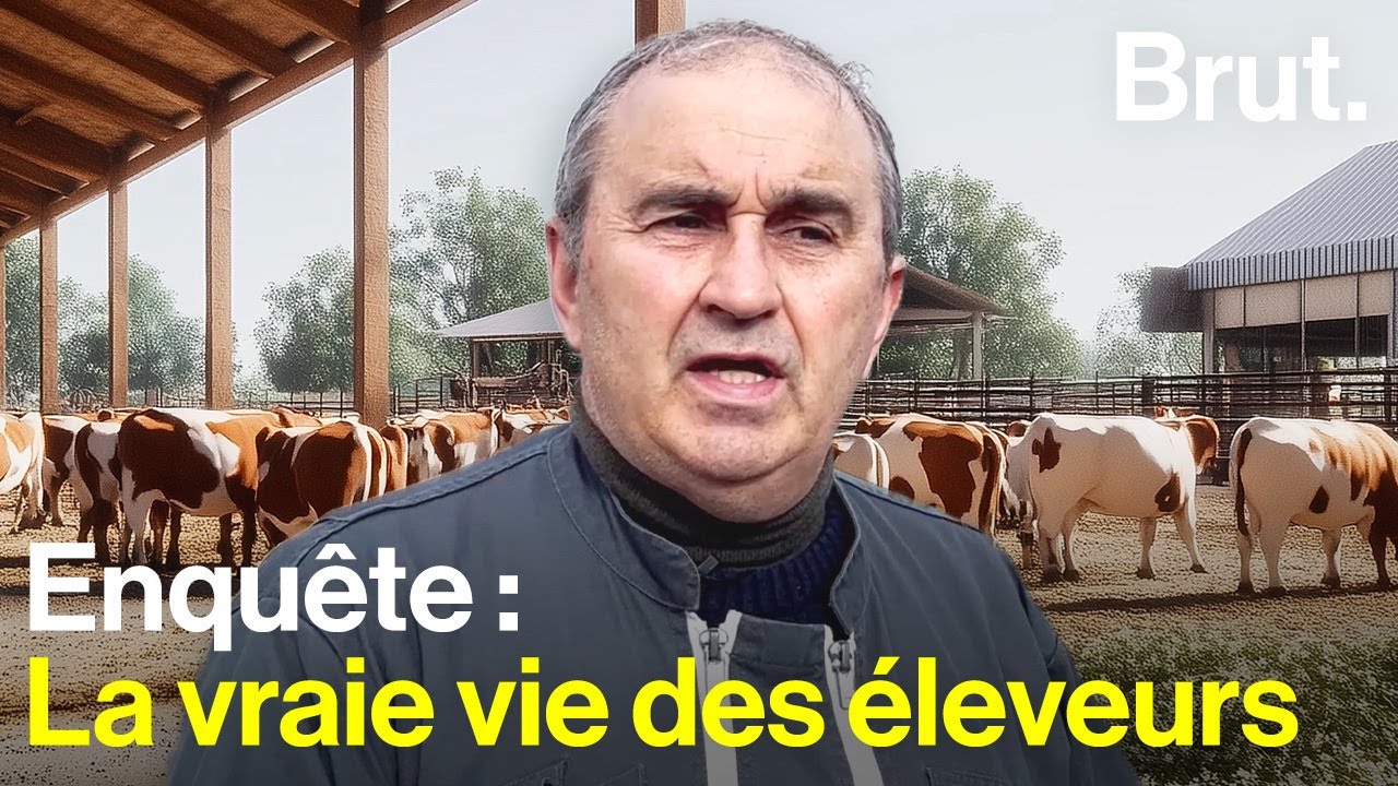 Pourquoi les éleveurs français ne s’en sortent pas ?