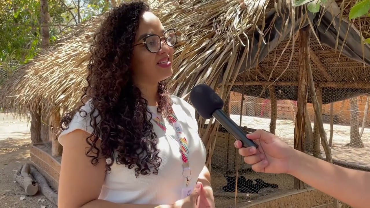Produtores recebem capacitação para criação de galinha canela preta