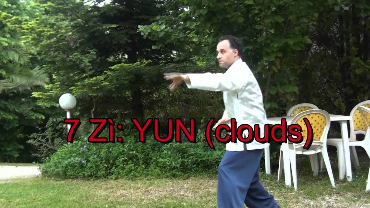 xingyi bazi gong and bazi lianhuan gong.wmv