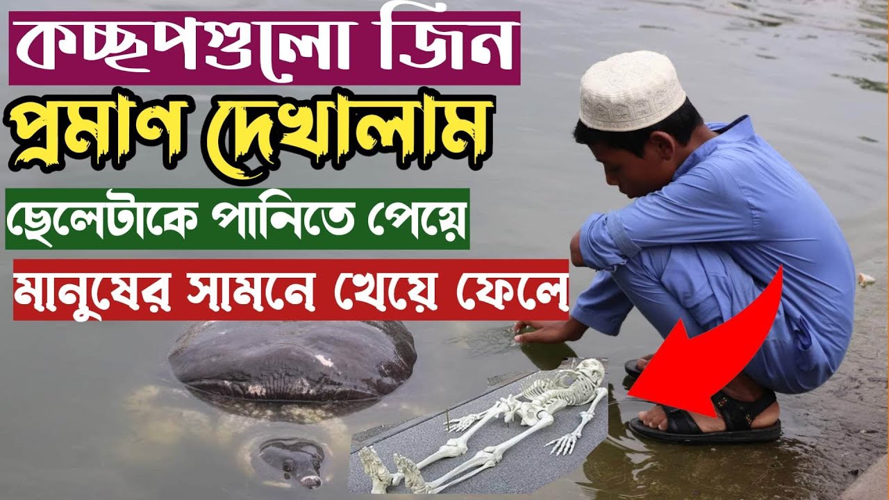 বায়েজিদ বোস্তামির মাজারের দিঘির কচ্ছপগুলো জিন। অসংখ্য প্রমাণ রয়েছে এই ভিডিওতে।