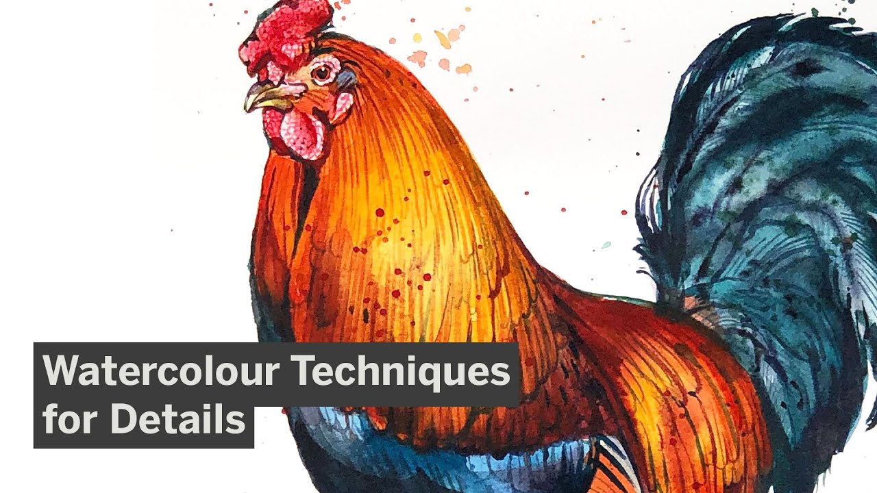Class Clip | Realistic and Expressive Rooster with Watercolour (Natura Illustrata)